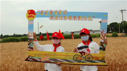 童趣拾秋 黄埭镇少先队员体验丰收乐趣 一粒麦子传递劳动真谛