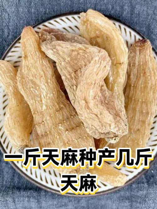 一粒麦子的世纪之问
